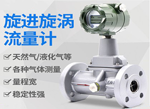 分體旋進旋渦流量計